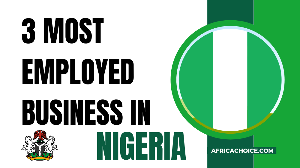 3 Most Employed Business In Nigeria, AfricaChoice.png