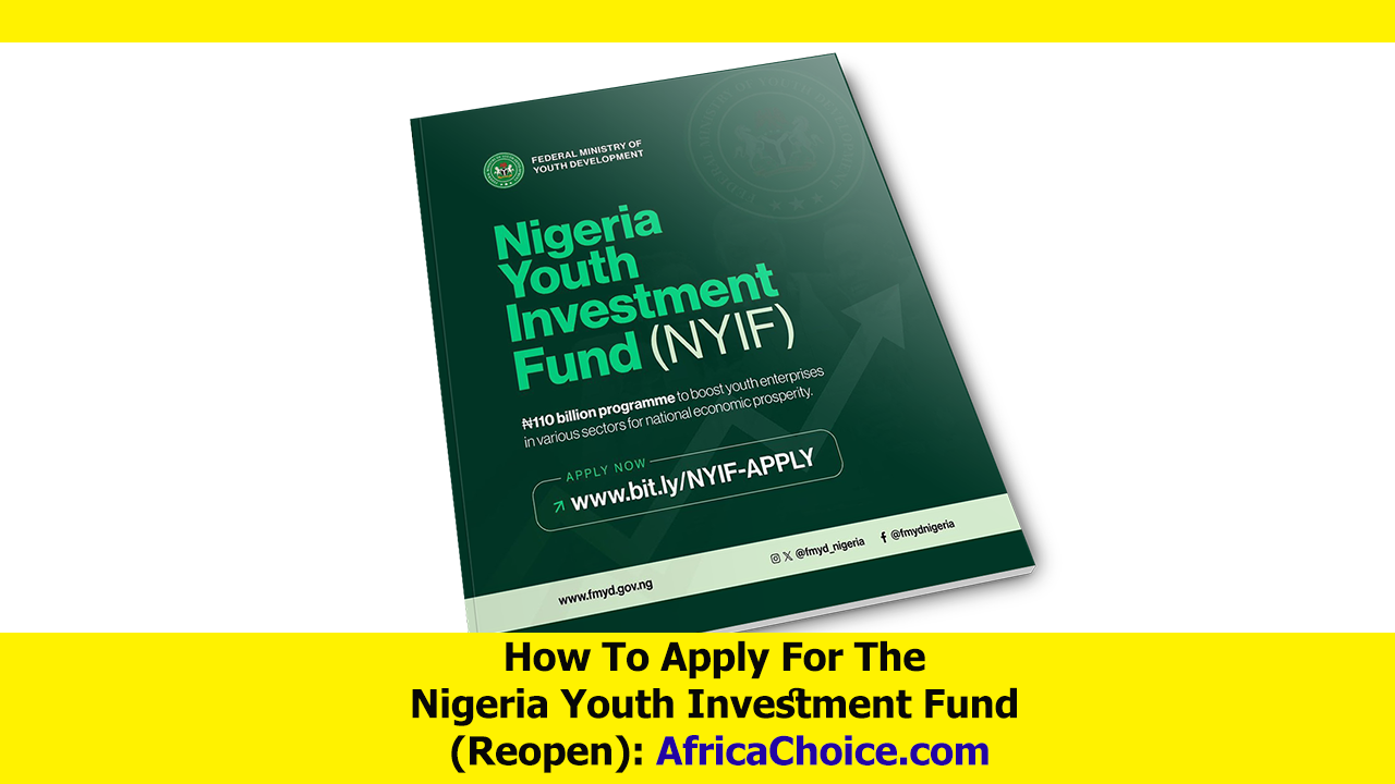 How-To-Apply-For-The-Nigeria-Youth-Investment-Fund.png