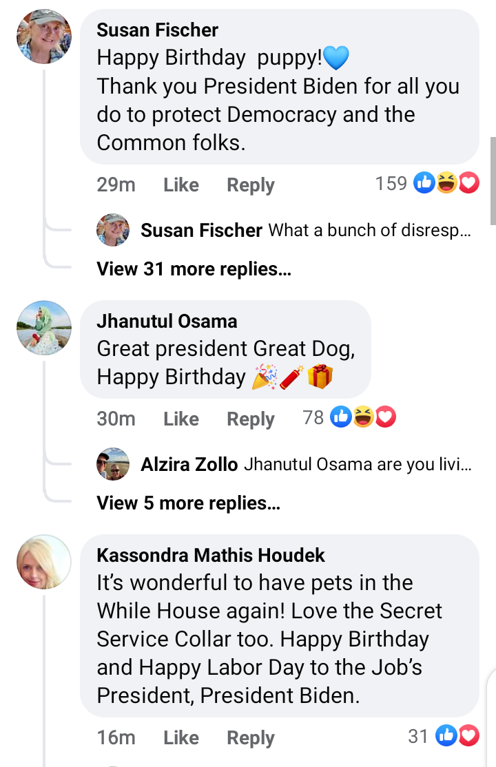 President-Joe-Biden-Celebrates-His-Dog-On-Year-Birthday,-worldforumlive.png