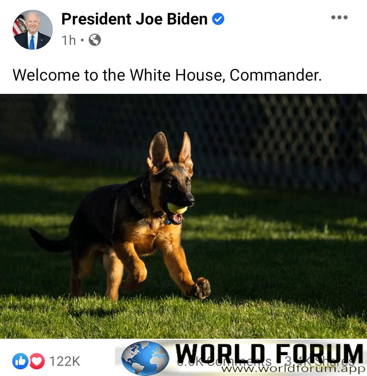 President-Joe-Biden-Welcome-A-Dog-Named-Commander-To-The-White-House.jpg