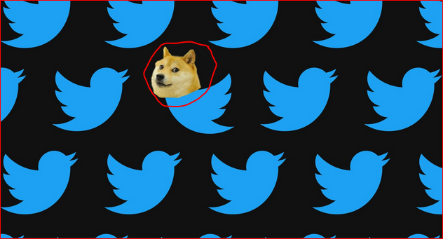 Twitter new logo, doge.PNG