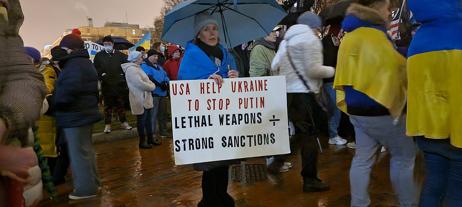 Ukrainian-Americans-protest-at-the-White-House-in-Washington-D.C,-calling-for-actions-against-...jpg