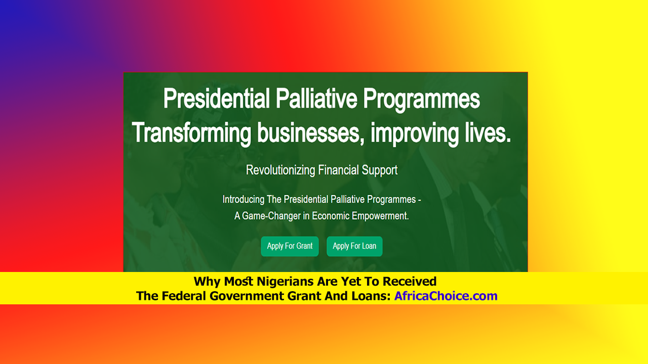 Why-Most-Nigerians-Are-Yet-To-Received-The-Federal-Government-Grant-And-Loans.png