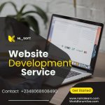 Professional Website Development.jpg